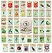 Algopix Similar Product 16 - Set of 43 Assorted Vegetable  Herb