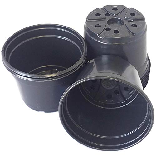 Algopix Similar Product 17 - 5 Diameter Black Plastic Nursery Pot