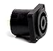 Algopix Similar Product 3 - DEEJAY LED TBH4PINFEMALE 4 Pin Female