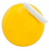 Algopix Similar Product 9 - US Coach Supply Standard Tetherball 