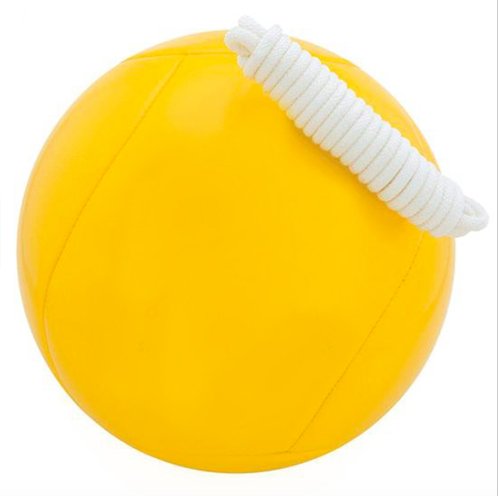 Algopix Similar Product 18 - US Coach Supply Standard Tetherball 