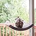 Algopix Similar Product 17 - KH Pet Products EZ Mount Scratcher