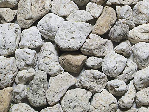 Algopix Similar Product 7 - Noch 09232 Coarse Rubble Rock Model