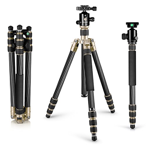 Algopix Similar Product 5 - 