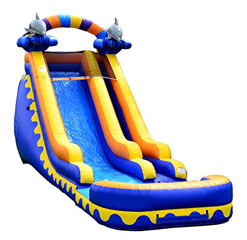 Algopix Similar Product 4 - JumpOrange Commercial Grade Inflatable