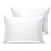 Algopix Similar Product 17 - WENERSI Premium Feather Down Pillows