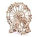 Algopix Similar Product 17 - Wood Trick Observation Wheel Toy Model