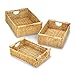 Algopix Similar Product 12 - Accent Plus Maize Nesting Basket Set