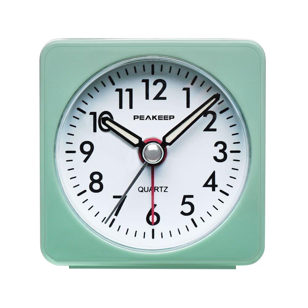 Algopix Similar Product 11 - Peakeep Ultra Small Battery Travel