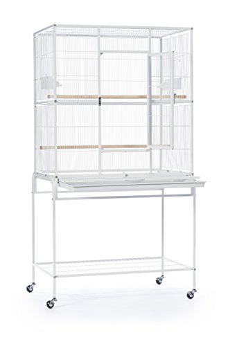 Algopix Similar Product 19 - Prevue Pet Products Wrought Iron Flight