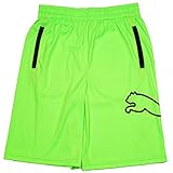 Algopix Similar Product 8 - PUMA BigBoys Shorts Athletic Soccer