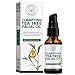 Algopix Similar Product 8 - Beauty Foundry Clarifying Tea Tree