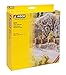 Algopix Similar Product 10 - Noch 60918 Casting Plaster 1000g