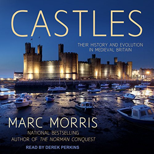 Algopix Similar Product 16 - Castles Their History and Evolution in