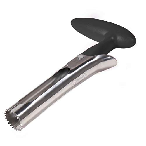 Algopix Similar Product 18 - Apple Corer Newness Premium Apple