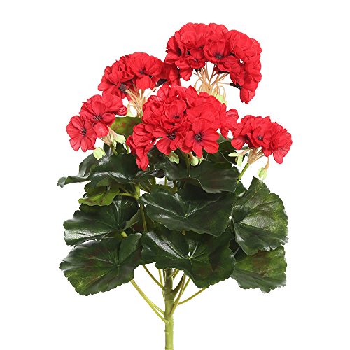 Algopix Similar Product 2 - Vickerman FL170602 Floral Geranium Bush