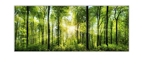 Algopix Similar Product 2 - STYLER EX121 Glass Art Glass  Green