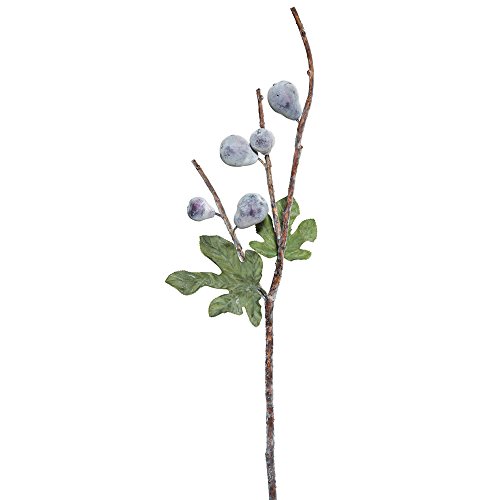 Algopix Similar Product 15 - Vickerman FK171901 Fig Fruit Spray