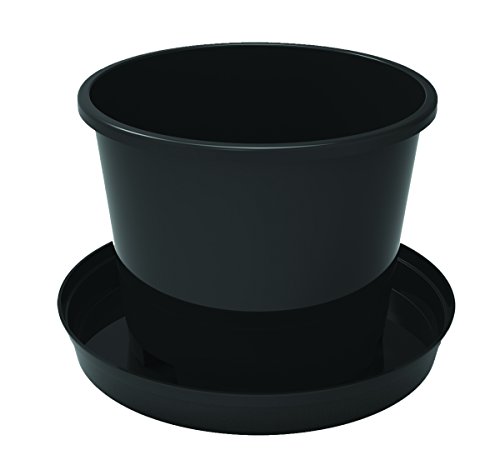 Algopix Similar Product 7 - Maxipot Twistpot Pot w/Saucer, 13"