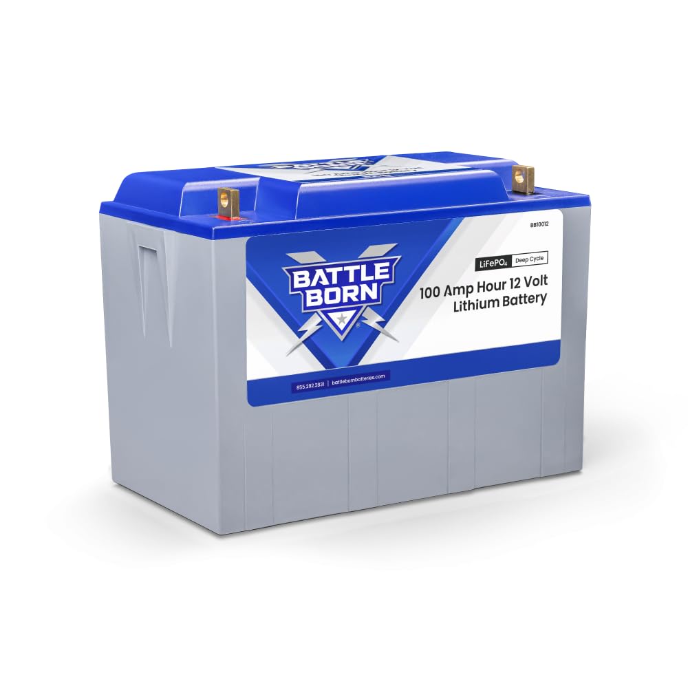 Algopix Similar Product 6 - 100Ah 12V LithiumIon LiFePO4 RV