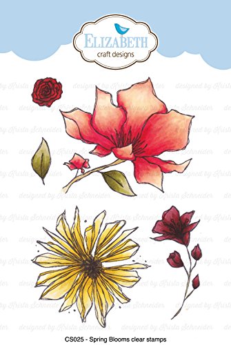 Algopix Similar Product 13 - Spring Blooms Clear Stamps