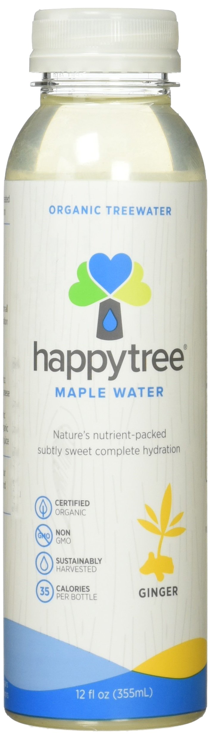 Algopix Similar Product 17 - happytree Maple Water Ginger 12 Ounce