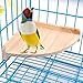 Algopix Similar Product 4 - Bird Perch Platform Stand Wood for