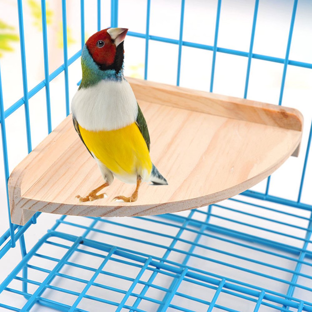 Algopix Similar Product 3 - Bird Perch Platform Stand Wood for