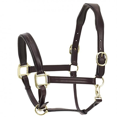Algopix Similar Product 12 - Ovation Fancy Padded Halter Dk Brown