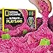 Algopix Similar Product 2 - National Geographic Play Sand  6 LBS