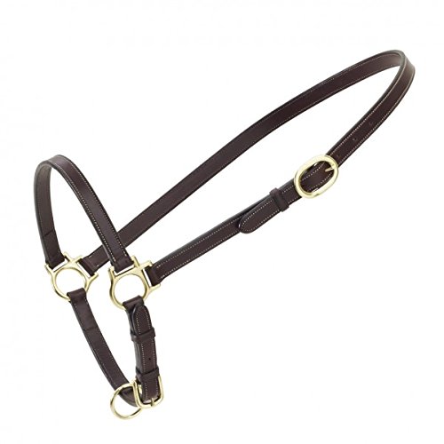 Algopix Similar Product 20 - OV Elite Grooming Halter Dark Brown