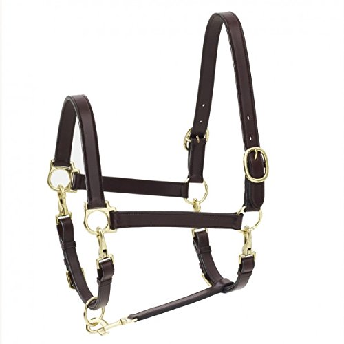 Algopix Similar Product 14 - Ovation Elite 4Way Grooming Halter