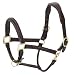 Algopix Similar Product 15 - Ovation Fancy Raised Padded Halter Dk