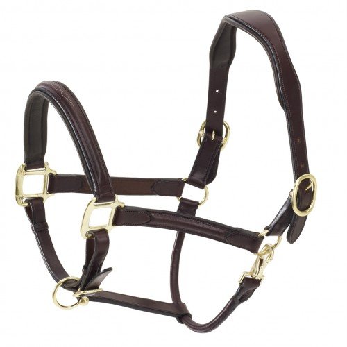 Algopix Similar Product 13 - Ovation Fancy Raised Padded Halter Dk