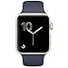 Algopix Similar Product 17 - Apple Watch Series 1 42mm Smartwatch
