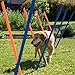 Algopix Similar Product 7 - PAWISE Dog Training Exercise