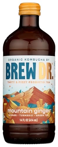 Algopix Similar Product 18 - BREW DR Ginger Turmeric Kombucha, 14 FZ