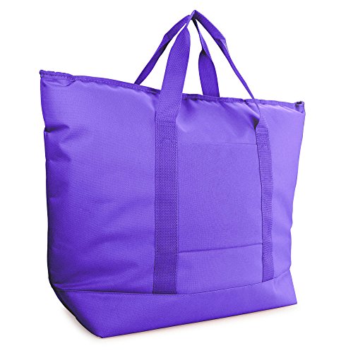 Algopix Similar Product 2 - DALIX 25 Large Insulated Tote Cooler