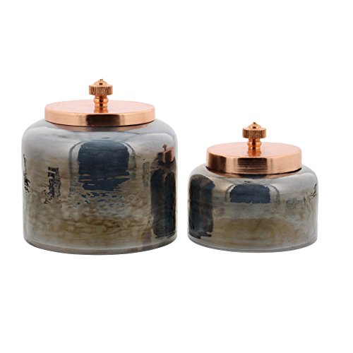 Algopix Similar Product 7 - Benzara Metallic Glossy Gray Glass Jar