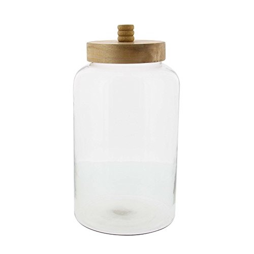 Algopix Similar Product 16 - Benzara Achromatic Jar with Wood Lid