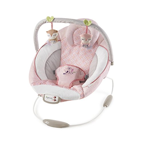 Algopix Similar Product 1 - Ingenuity Cradling Audrey Bouncer