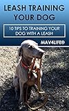 Algopix Similar Product 10 - Leash Training Your Dog    10 Tips to