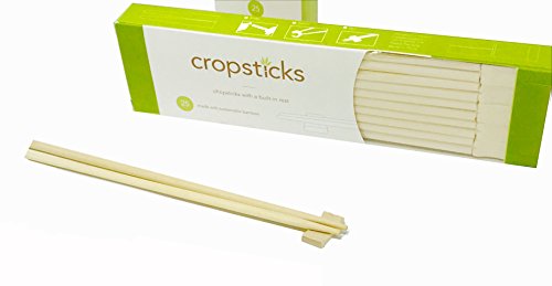Algopix Similar Product 19 - Disposable Chopsticks Bamboo From Shark