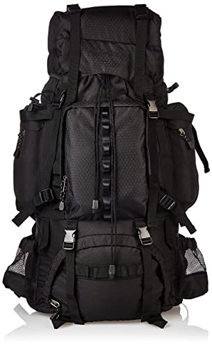 Algopix Similar Product 9 - Amazon Basics Internal Frame Hiking
