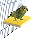 Algopix Similar Product 17 - Colorful Bird Perch Stand Platform