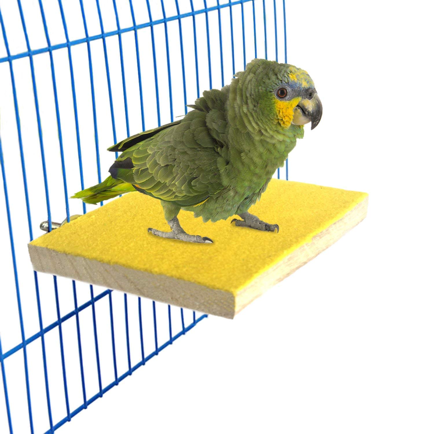 Algopix Similar Product 16 - Colorful Bird Perch Stand Platform