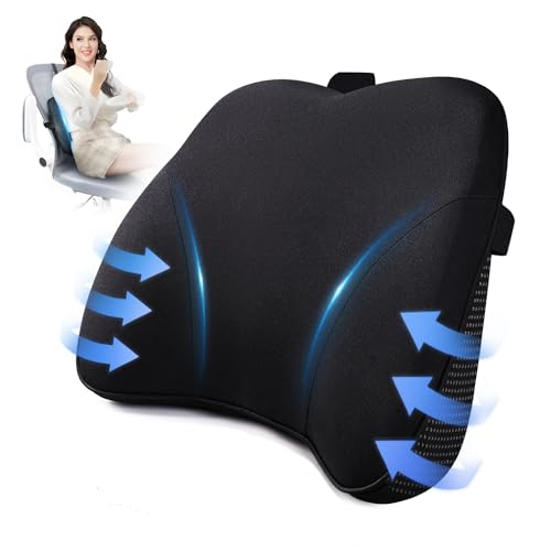 Algopix Similar Product 20 - Dreamer Car Lumbar Support Pillow for