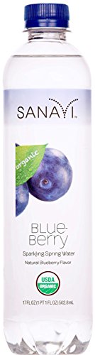 Algopix Similar Product 4 - Sanavi Organic Sparkling Spring Water