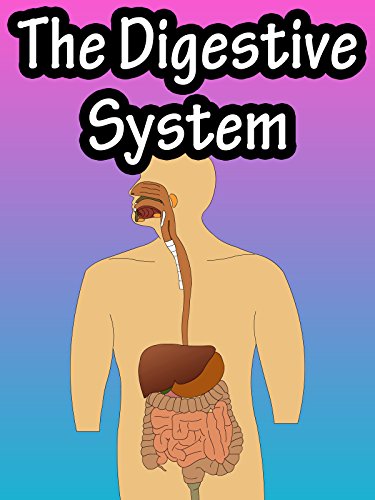 Algopix Similar Product 9 - The Digestive System