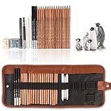 Algopix Similar Product 15 - 29 Pieces Professional Sketching 